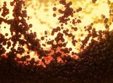 Pexels Marek Piwnicki 3907296 12214777