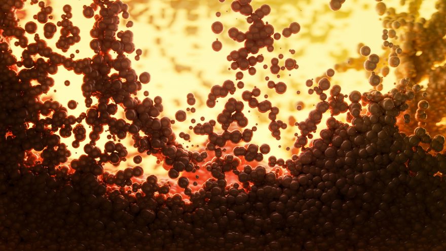 Pexels Marek Piwnicki 3907296 12214777