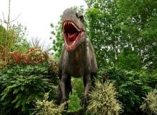 Pexels Mikebirdy 410856