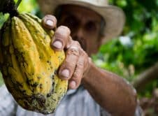 Pexels Pixabay 50707