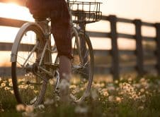 Pexels Sebastian 1548771