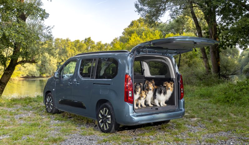 Opel Combo Electric full