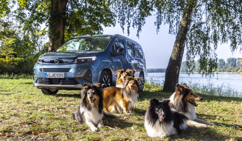 Opel Combo Electric full