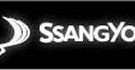 Detalles sobre la situación de SsangYong