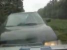 Vídeo: un coche policial y la sorpresa de final de curva