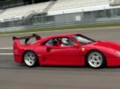 Seis Ferrari F40 estiran las piernas en circuito