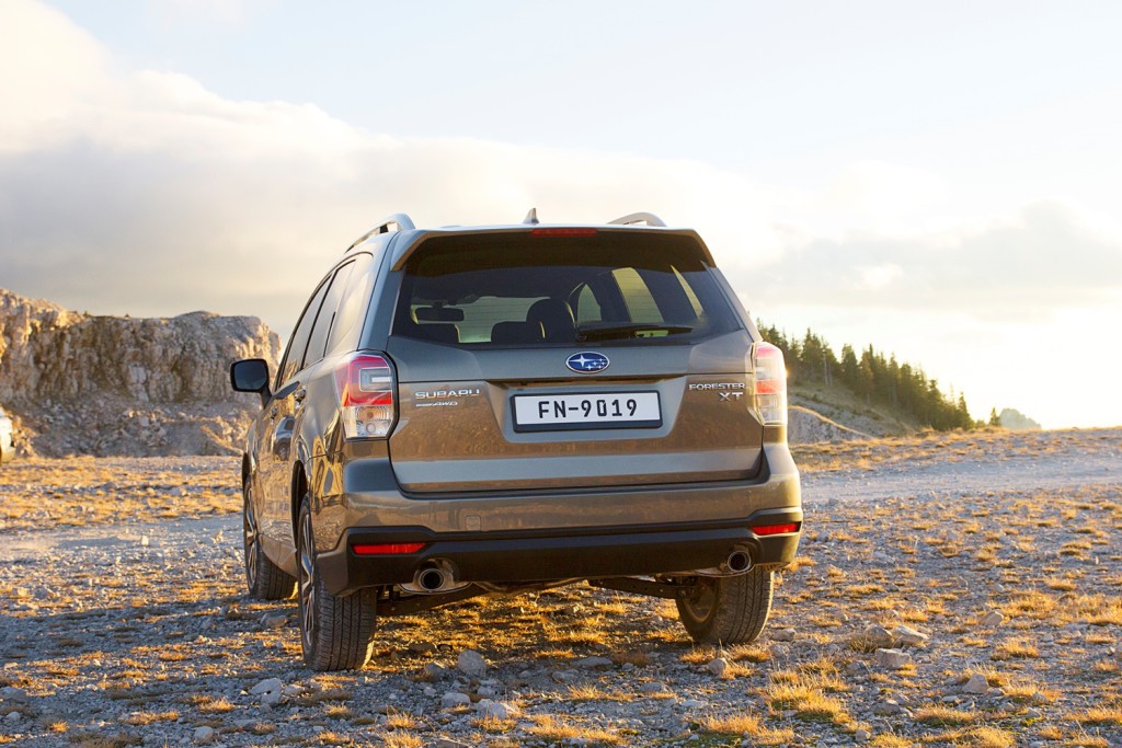 FORESTER EXEC PLUS TRASERA (2)