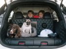 El Nissan X-Trail 4 Dogs piensa en los que tienen perros en la familia