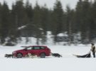 El SEAT León CUPRA nos enseña su tracción 4Drive enfrentándose a seis huskies en un lago helado