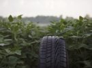 Goodyear investiga fabricar neumáticos a partir de aceite de soja y tienen muchas ventajas