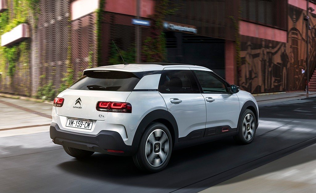 C4 Cactus Neuigkeiten und Tests