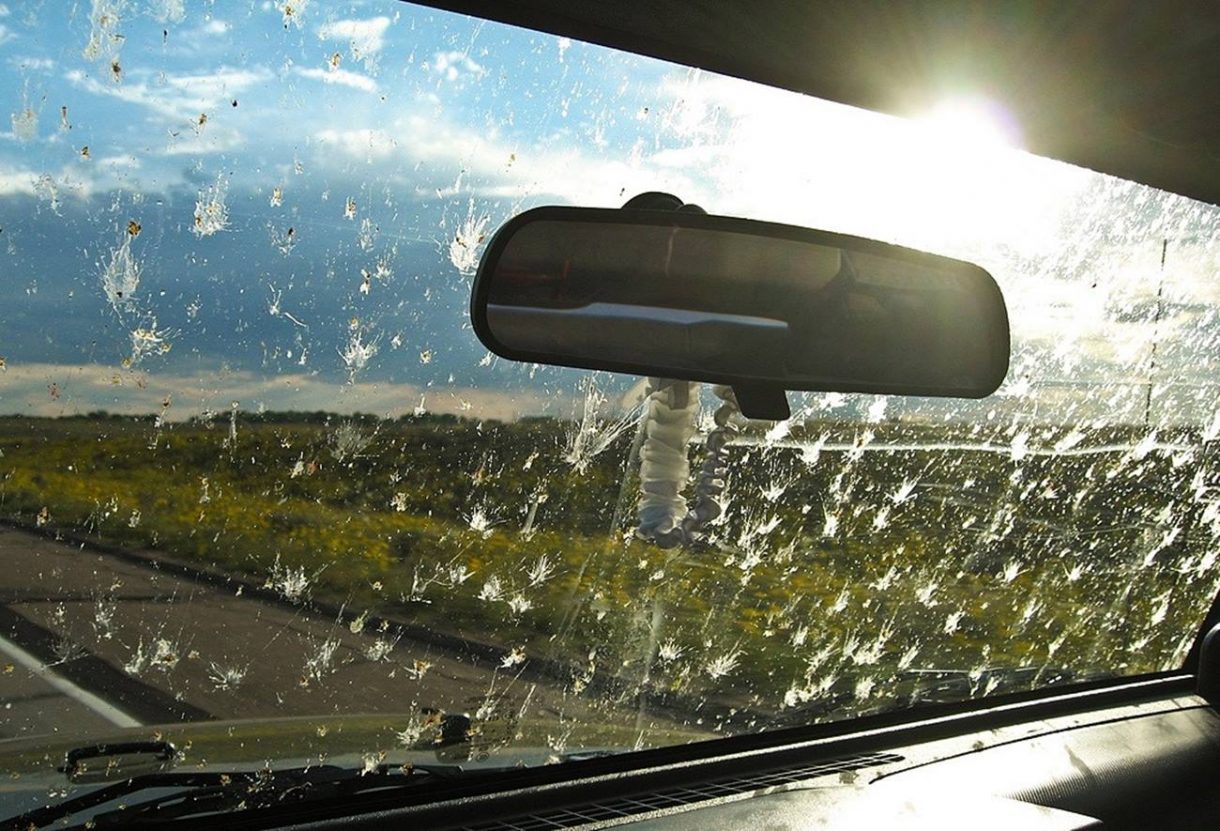 Sigue estos consejos para cuidar los parabrisas del coche