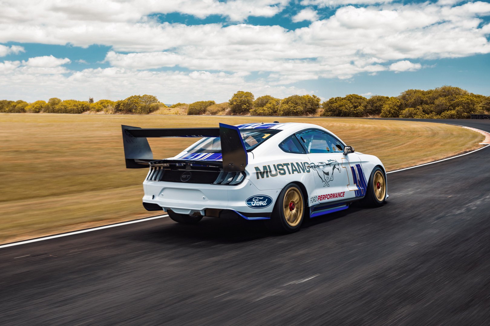 Mustang de carreras