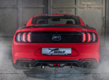 Ford Mustang Wolf Racing 11