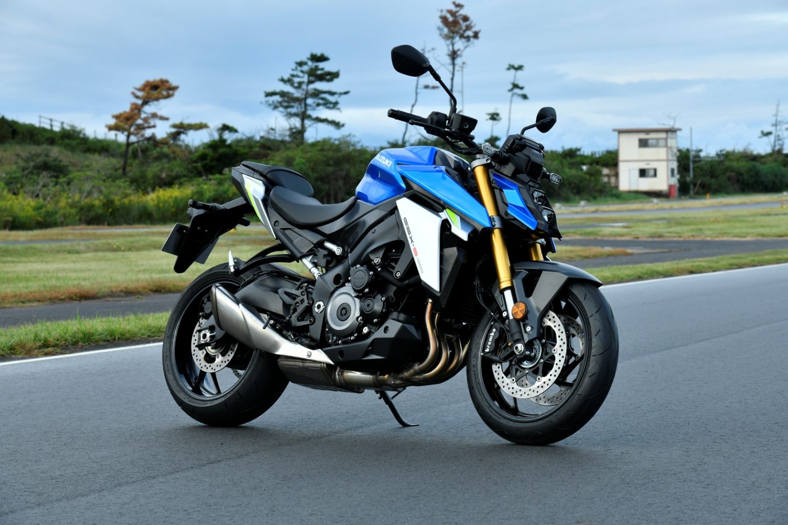 Suzuki Gsx S 1000 2021 (12)