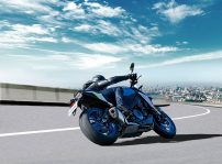 Suzuki Gsx S 1000 2021 (36)