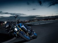 Suzuki Gsx S 1000 2021 (37)