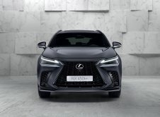 Lexus Nx 2021 10
