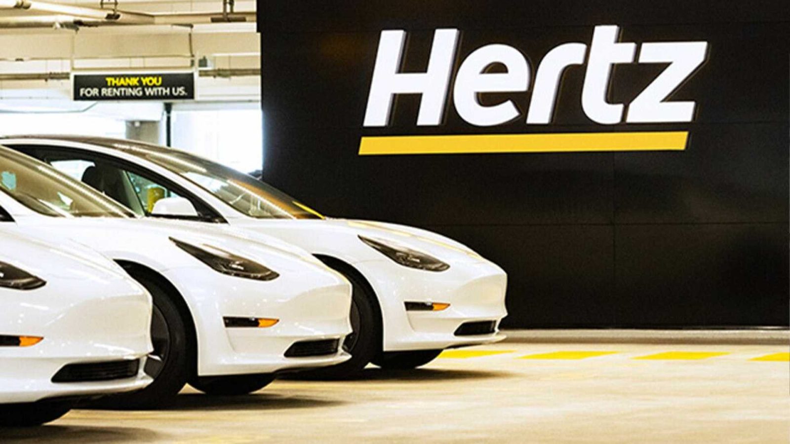 Uber y Hertz ofrecerá 50 000 Tesla Model 3 a sus conductores