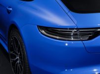 Porsche Paint To Sample 4