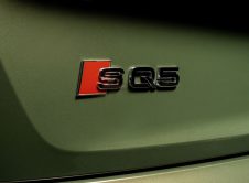 Audi Sq5 27