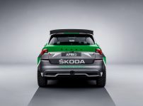 škoda Afriq (12)