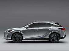 Lexus Rx 350 Silver Wide Profile