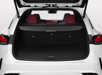 Lexus Rx 500h Fsport White Detail Trunk A V3