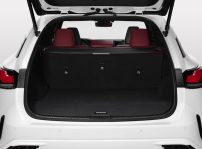 Lexus Rx 500h Fsport White Detail Trunk B V2