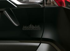 Toyota Rav4 Woodland Edicion Todoterreno (6)