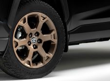 Toyota Rav4 Woodland Edicion Todoterreno (7)