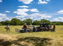 Honda Pioneer 1000 6 Crew 6