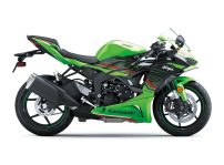 Kawasaki Ninja Zx 6r 2024 (16)