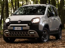 Fiat Panda 4x40 Edicion Limitada (3)