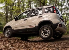 Fiat Panda 4x40 Edicion Limitada (4)