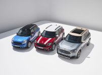 Mini Countryman (40)