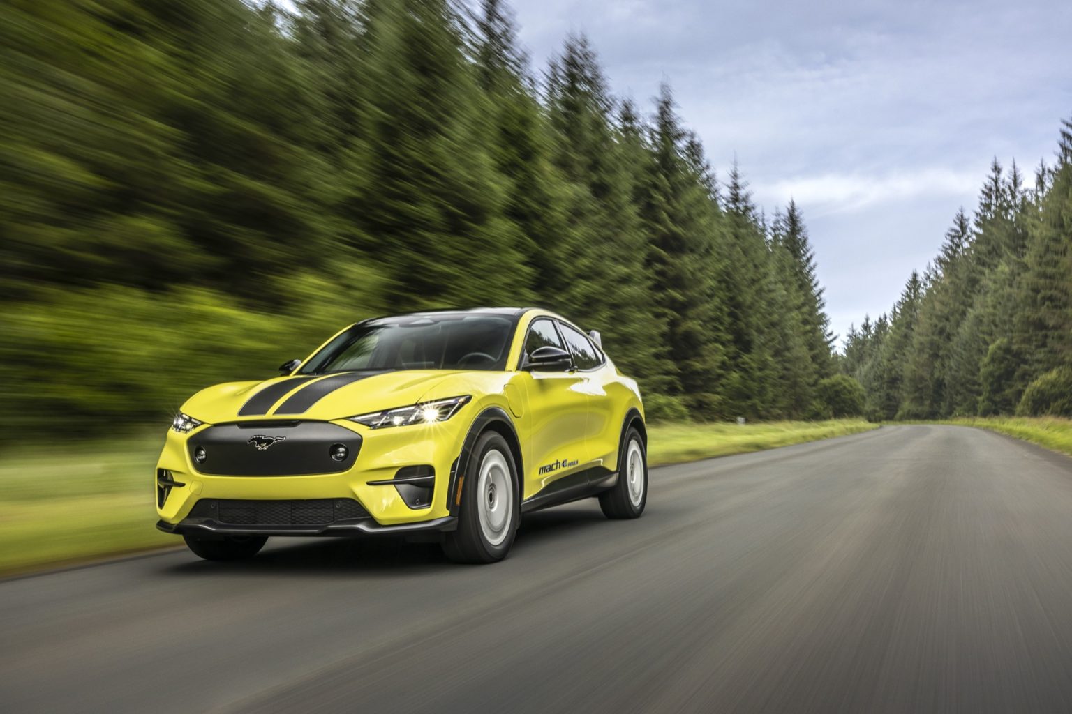 What is the lifespan and useful life of an electric car?