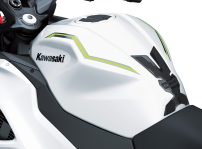 Kawasaki Ninja 7 Hev Hybrid 2024 (21)