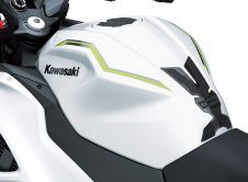 Kawasaki Ninja 7 Hev Hybrid 2024 (21)