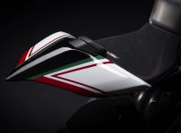 Ducati Panigale V4 Sp2 30 Anniversario 916 (16)