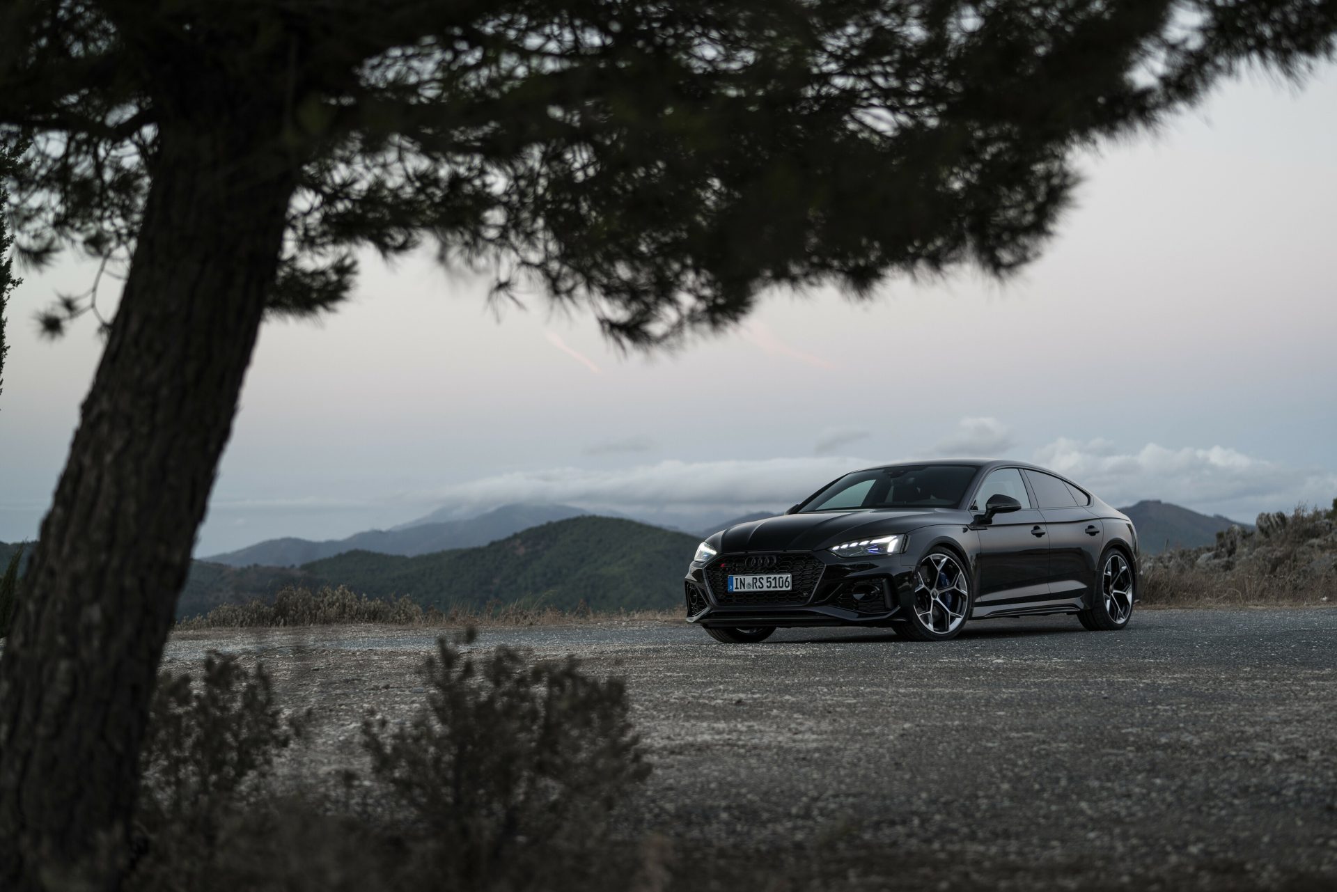 Audi Rs 5 Sportback Performance Edition (4)