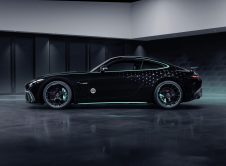 Mercedes Amg Gt 63 Pro 4matic+ Motorsport Collectors Edition (12)