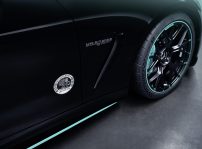 Mercedes Amg Gt 63 Pro 4matic+ Motorsport Collectors Edition (14)