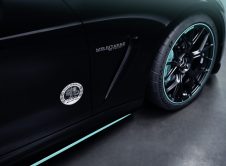 Mercedes Amg Gt 63 Pro 4matic+ Motorsport Collectors Edition (14)