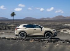 Lexus Nx Overtrail 11