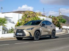 Lexus Nx Overtrail 14