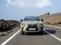 Lexus Nx Overtrail 3