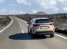 Lexus Nx Overtrail 6