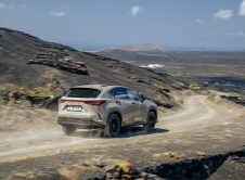 Lexus Nx Overtrail 8