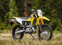 Dr Z400srjm5 Action 19